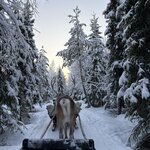 Photo taken by Alison D