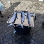 Photo taken by Paul M