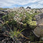 Photo taken by Scott C