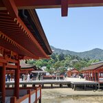 Photo taken by PADMABEN P