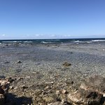 Photo taken by Victoria P