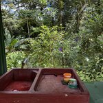 Photo taken by Tiphanny C