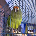 Photo taken by Sally H