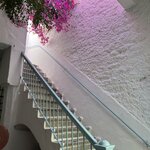 Photo taken by Paige M