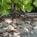 Photo taken by Chris G