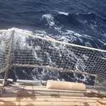 Photo taken by Janelle M