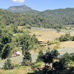 Photo taken by Megan H