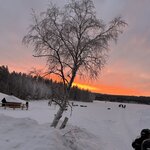 Photo taken by Jennifer D