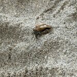 Photo taken by Dana F