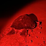 Photo taken by Jaya C