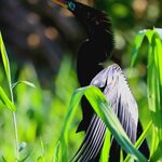 Photo taken by Sheri L