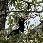 Photo taken by Edit M