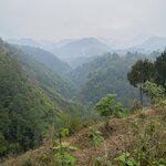 Photo taken by Rachael L