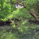 Photo taken by John Mark W