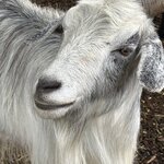 Photo taken by Judith C