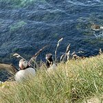 Photo taken by Jia Yi L