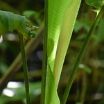 Photo taken by William R