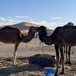 Photo taken by Tiffany M