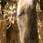 Photo taken by Laura R