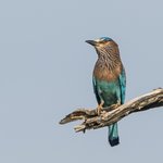 Photo taken by Graham D