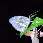 Photo taken by Mordechay T