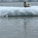 Photo taken by Linda M