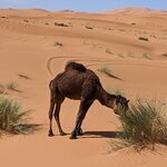 Photo taken by Cynthia D