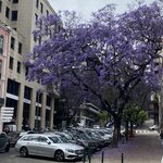 Photo taken by Michael B