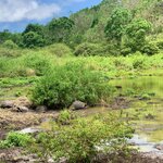 Photo taken by Katarzyna W