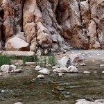 Photo taken by Lindsey B