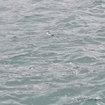 Photo taken by Ruth R