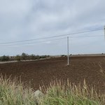 Photo taken by Judi W