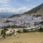 Photo taken by Allison O