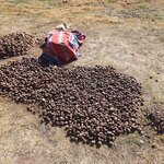 Photo taken by Bree J