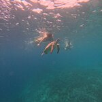 Photo taken by Mary S