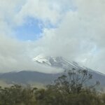 Photo taken by Nina S