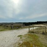 Photo taken by Monique L