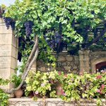 Photo taken by Darcy G