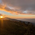 Photo taken by Natalia D