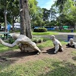 Photo taken by Lauren A