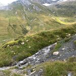 Photo taken by Irwin M