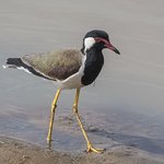 Photo taken by Graham D