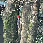 Photo taken by Alexia M