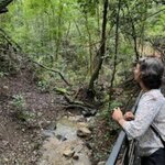 Photo taken by Traci V