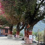 Photo taken by Wendy P