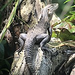 Photo taken by Michelle D