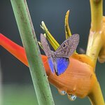 Photo taken by Lisa M