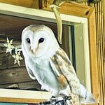 Photo taken by Tina D