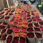 Photo taken by Fuad A