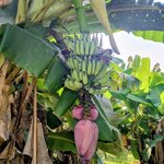 Photo taken by Kaitlin J